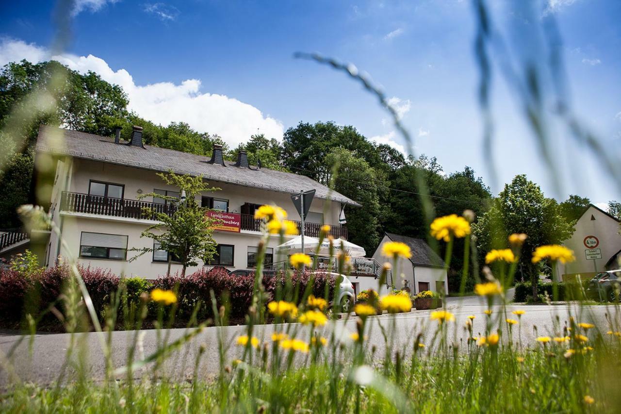 Landgasthaus Zum Kreuzberg Schonbach  Экстерьер фото